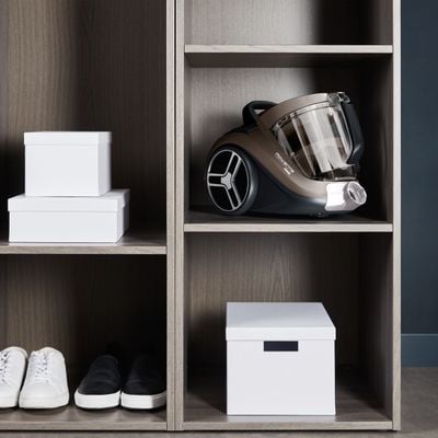 Aspirator fara sac Compact Power XXL RO4B30EA, 900 W, recipient pentru praf 2.5 L, 3 niveluri de filtrare, gri