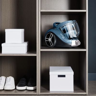 Aspirator fara sac Rowenta Compact Power XXL RO4B11EA, 900 W, recipient pentru praf 2.5 L, filtrare 99.98%, compact, bleu