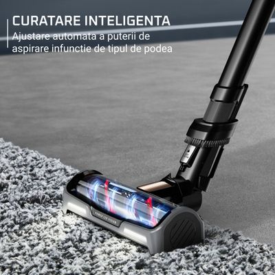 Aspirator vertical Rowenta X-Force Flex 15.60 Aqua RH99G3WO, 520W, 2 baterii cu autonomie de cate 80 min, tehnologie flex, display control, accesorii animal care, stație încărcare, recipient praf 0.9L, perie cu LED, negru&maro