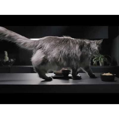 Aspirator vertical Rowenta X-Force Flex 14.6 Aqua RH99C3WO, 200 Air Watts, Functie Boost, autonomie 1.10h, putere 480 W, tub flexibil, iluminare LED, ajustare automata a puterii, sistem Aqua, gri & albastru