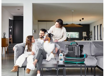 Cum să elimini petele dificile de pe covoare și canapele cu un aspirator pentru tapițerie Cum să elimini petele dificile de pe covoare și canapele cu un aspirator pentru tapițerie