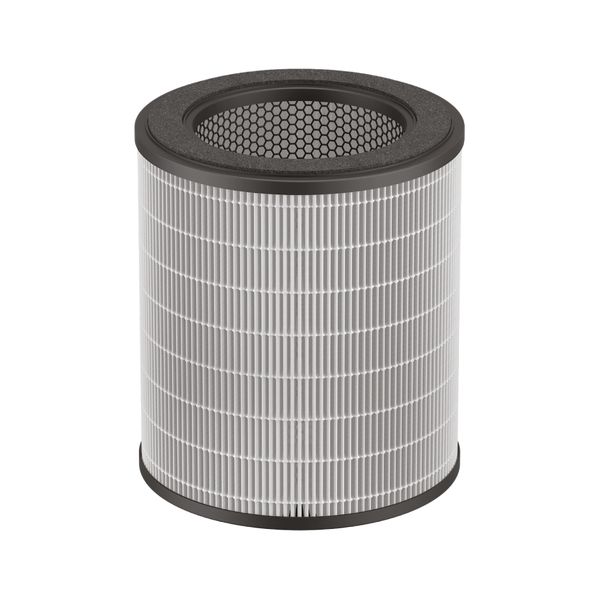 Filtru Rowenta XD6280F0, compatibil cu purificatorul Pure Air City, seria PU2840F0