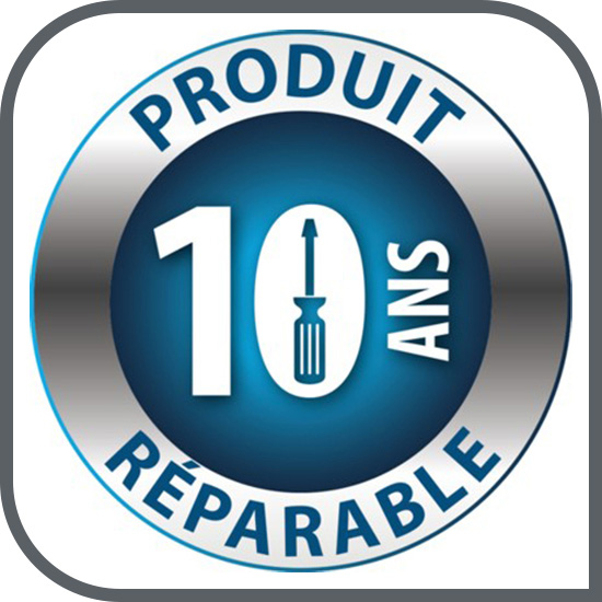 10ANI REPARABILITATE